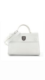 Сумка Christian Dior