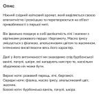 Парфум Nightology - Зображення 3