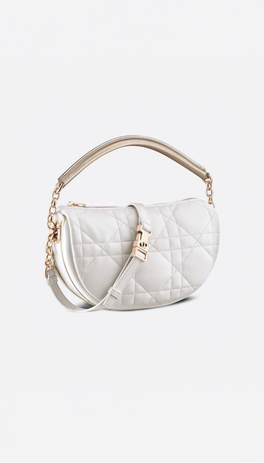 2026/01/1000090524.jpg Сумка Christian Dior - Зображення 1