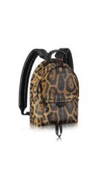 Рюкзак Louis Vuitton